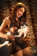 Foto Alessa Venezuelana Annunci Escort Verbania - 39