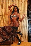 Foto Alessandra La Gatta Nera Annunci Trans Torino - 271