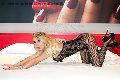 Foto Alexandra Miss Annunci Girl Foggia - 32