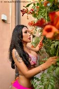 Foto Anita Bellezza Esotica Annunci Trans Modena - 69