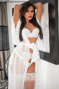 Foto Bely Annunci Trans Conegliano - 23