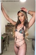 Foto Bia Almeida Annunci Trans Verbania - 184