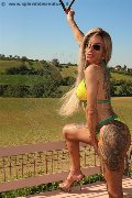 Foto Bruna Xxl Annunci Trans Pavia - 4