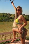 Foto Bruna Xxl Annunci Trans Pavia - 5