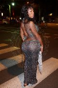 Foto Campbell Annunci Trans Porto - 6