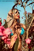 Foto Chrystal Medeiros Pornostar Annunci Trans Pescara - 51