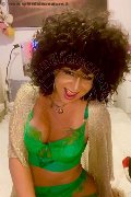 Foto Daysy Annunci Transescort Gallarate - 4