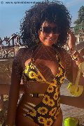 Foto Daysy Annunci Transescort Gallarate - 1