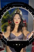 Foto Desirre Annunci Transescort Alessandria - 10