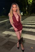 Foto Duda Castro Annunci Trans Bergamo - 52