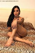 Foto Felina Vogliosa Annunci Trans Gorizia - 5