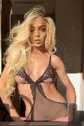 Foto Fernanda Ambrosio Annunci Trans Bologna - 63
