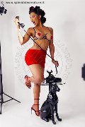Foto Graziella Farias Annunci Trans Ospitaletto - 46