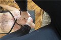Foto Julia Annunci Mistress Cuneo - 12