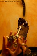 Foto Lady De Sade Italy Annunci Mistress Marina Di Carrara - 22
