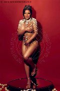 Foto Renata Molina Annunci Trans Barcellona - 8