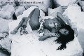 Foto Sabrina Hemolly Annunci Trans Milano - 83