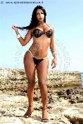 Foto Sabry Annunci Transescort Recife - 11