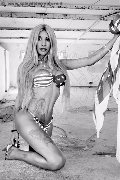 Foto Sabry Annunci Transescort Recife - 77