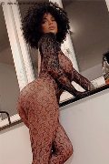 Foto Serena Annunci Trans Torino - 2
