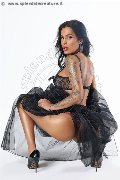Foto Talissa Castro Annunci Transescort Conegliano - 9