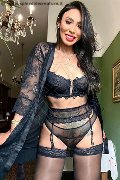 Foto Thayys Castro Annunci Trans Gallarate - 52