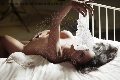 Foto Veronika Moschiny Annunci Trans Vigevano - 8