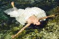 Foto Victoria Luxo Annunci Transescort Alba Adriatica - 49