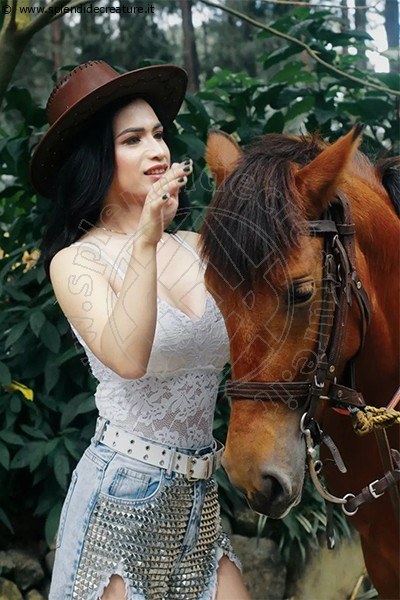 Foto Bianca Lady Boy  Annunci Trans 3932233064