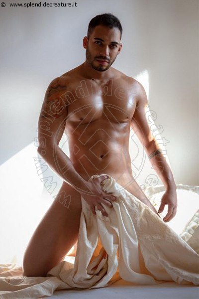 Foto Harry Dotato  Annunci Boy 3932513795