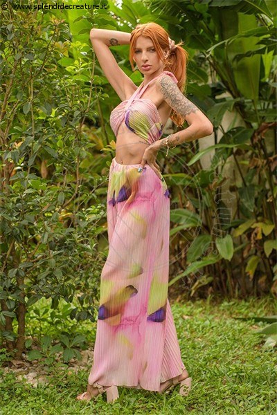 Foto Miranda Hot  Annunci Escort 3924622964