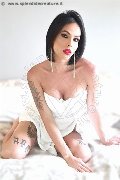 Foto Nick Miller Annunci Trans Verona - 86
