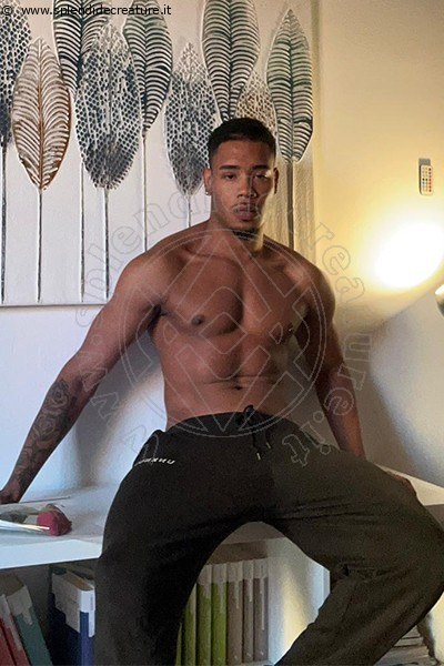 Foto Apollo Annunci Boys 3508625713